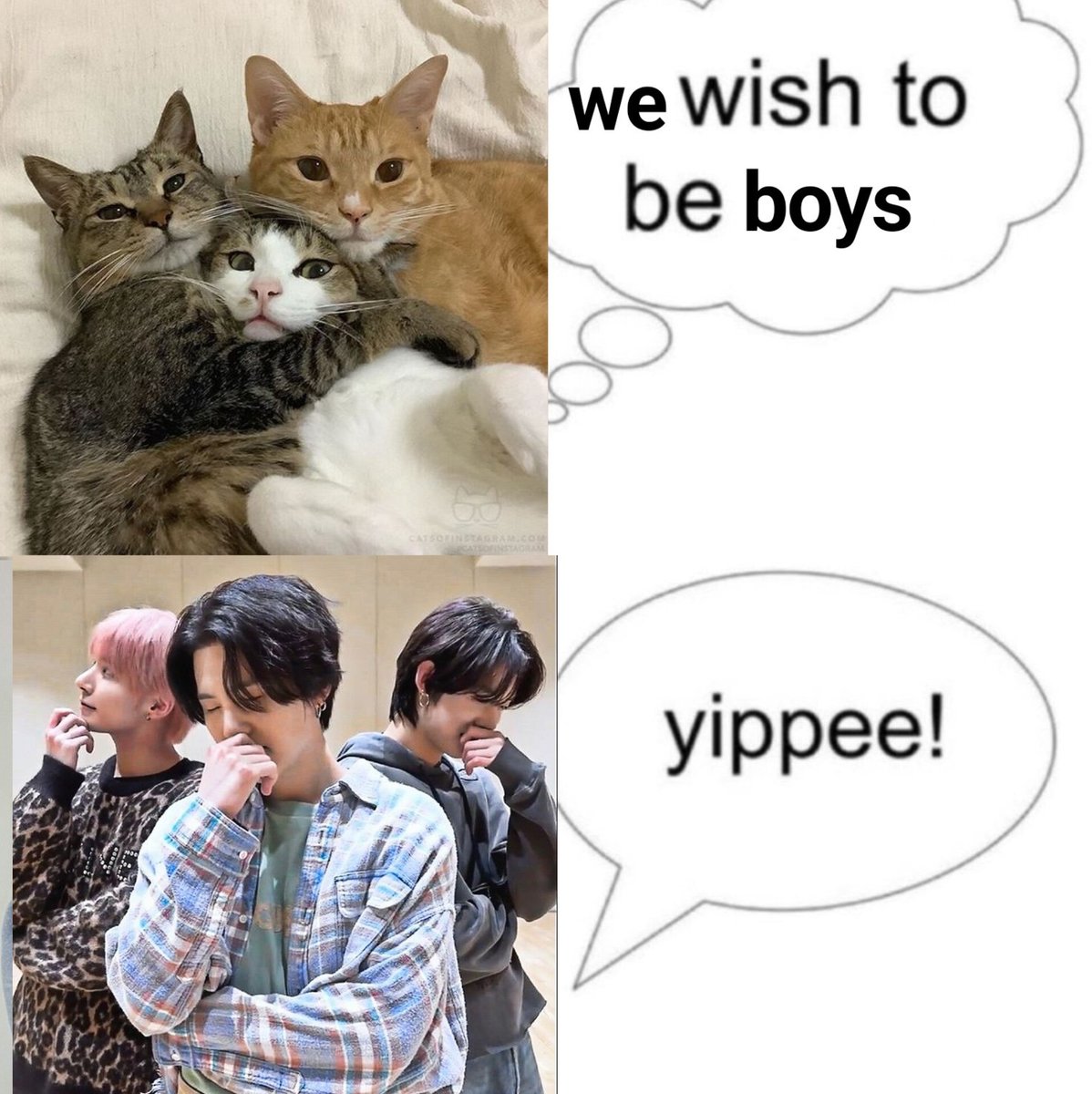 yippie 😺!