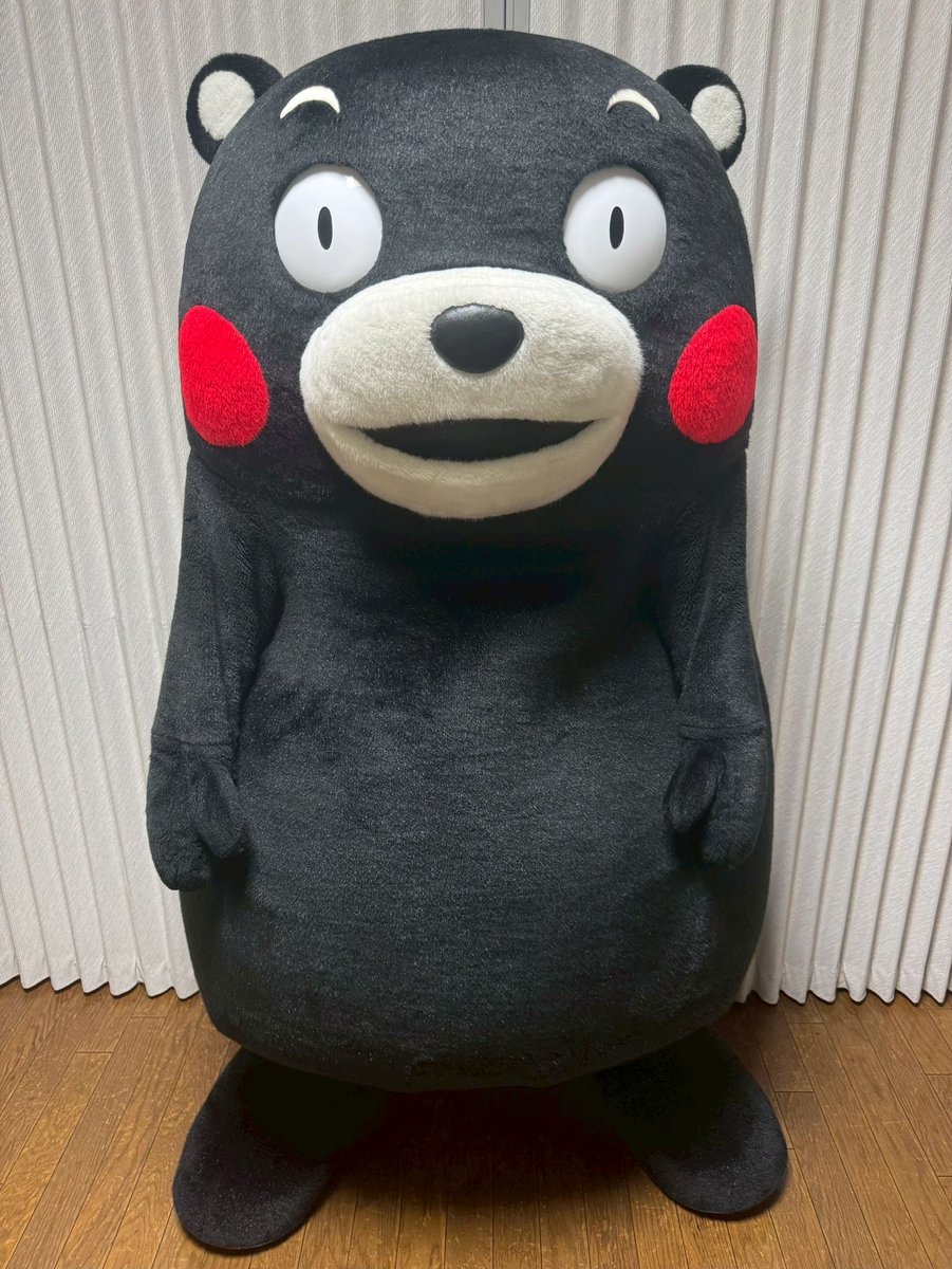 Post by くまモン【公式】 on X: おやくま～☆