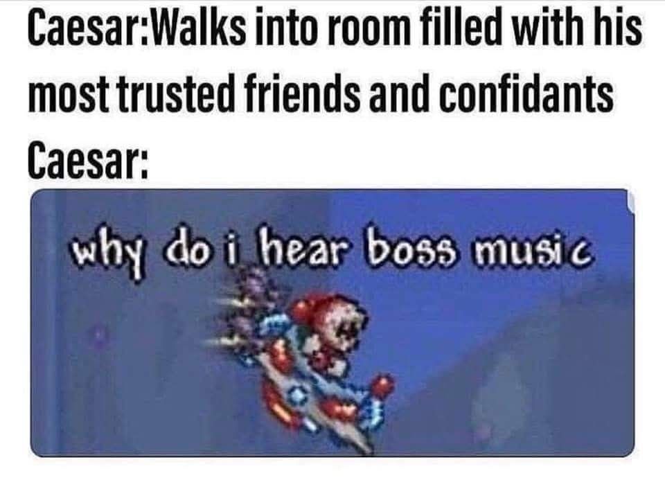 Classical Studies Memes tweet media