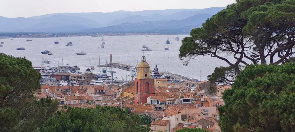 Rosenlippenmädchen tweet media