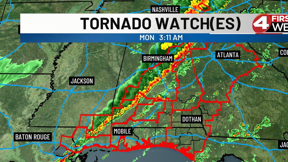 David Paul tweet media