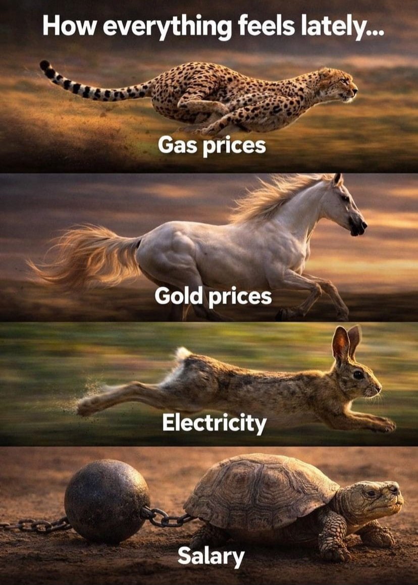 nehalzzzz1's tweet image. Majority of the world is going theough the tough times because of #Wars .Are you feeling same ?