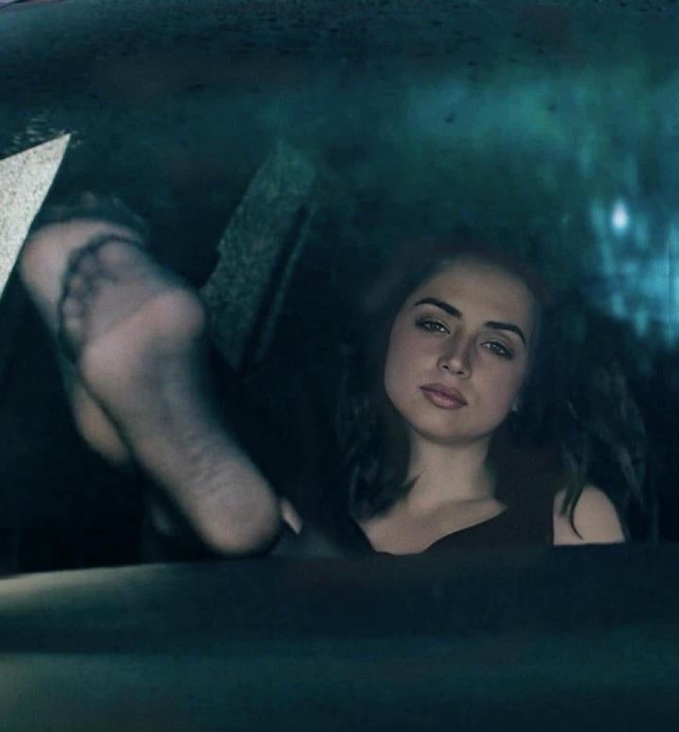 archivedearmas tweet media