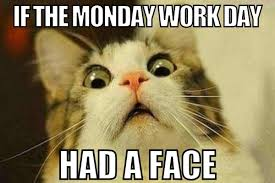 Caravans & Campers tweet media