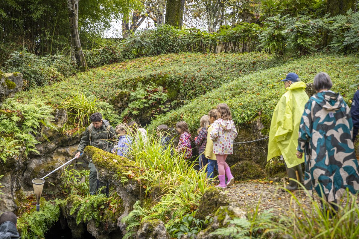 Bordeaux Métropole tweet media