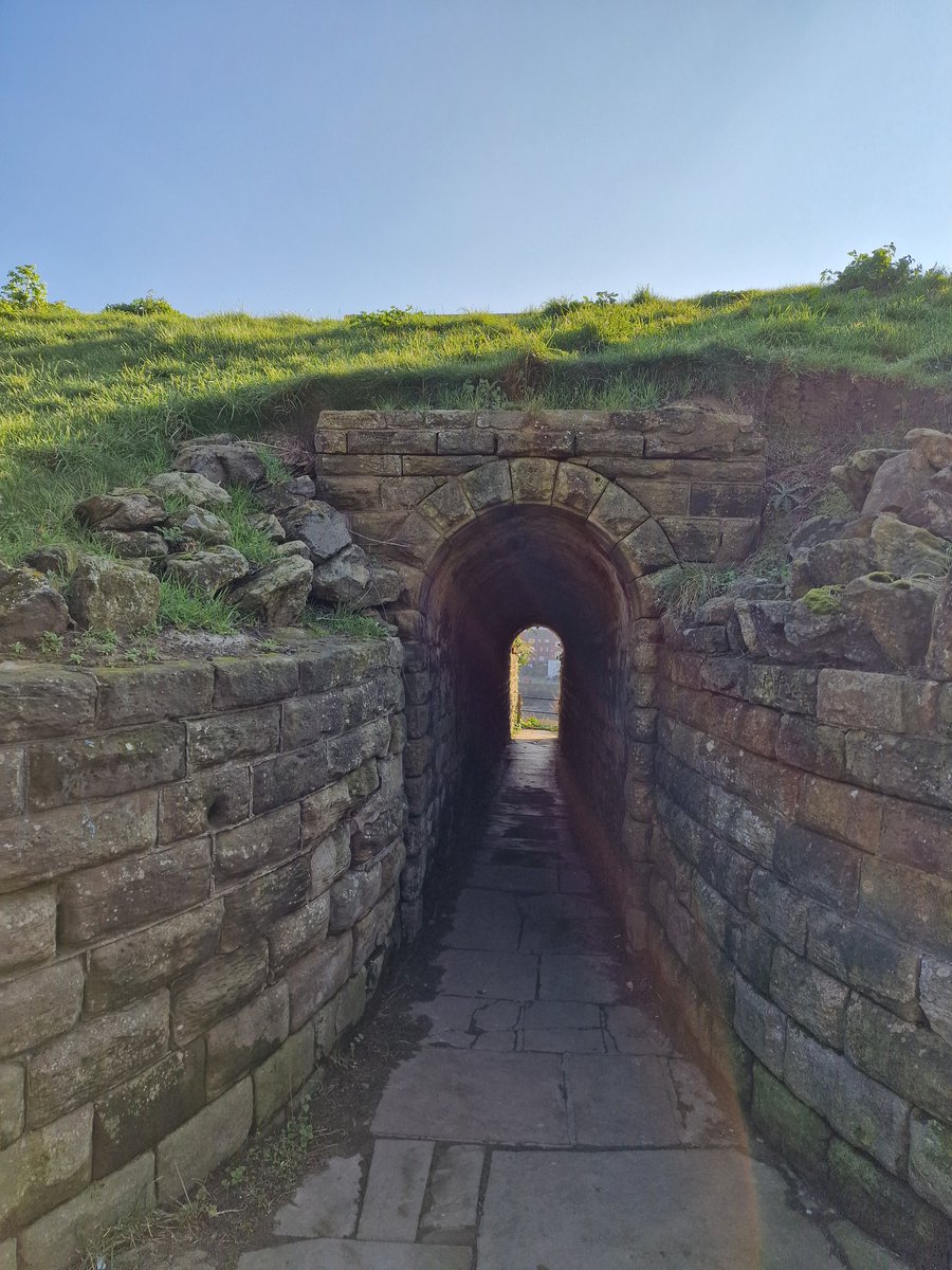 WHITBY WANDERER tweet media