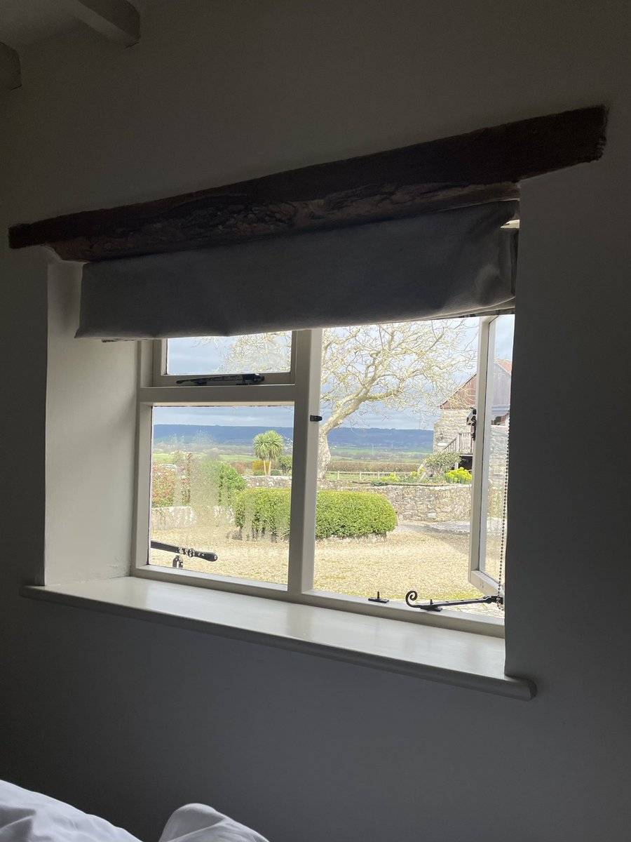 Gregoire 🏳️‍🌈 tweet media