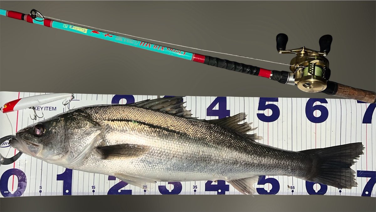 ゆうた tweet media