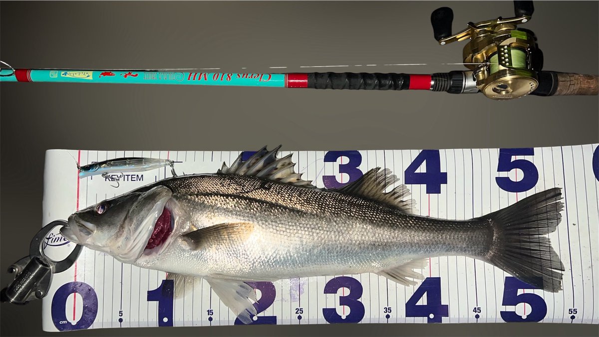 ゆうた tweet media