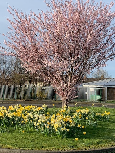 St Alphonsus Primary tweet media