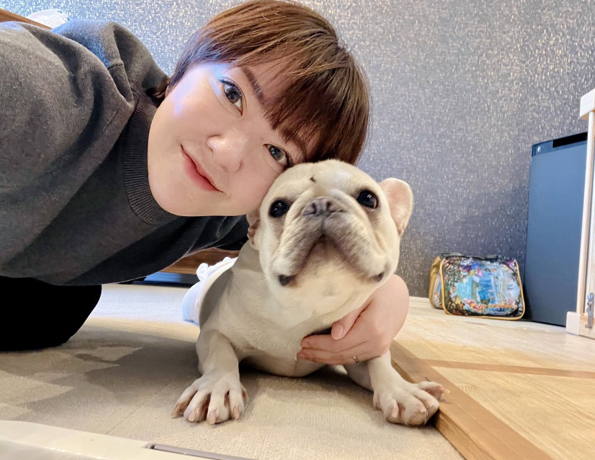 jwu27's tweet photo. 新しい家族をお迎え✨
名前はブーニン🐖

一歳なのに繁殖引退犬。
がんばったんだね！
これからの犬生、一緒に楽しく過ごそう！ https://t.co/0Y8SjB4RB5