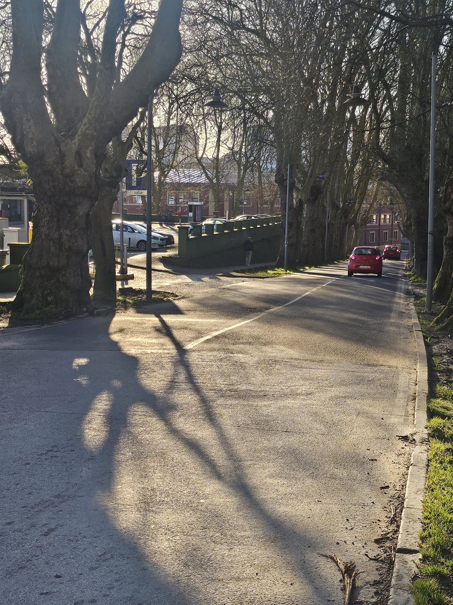 Eva Martínez Montero tweet media