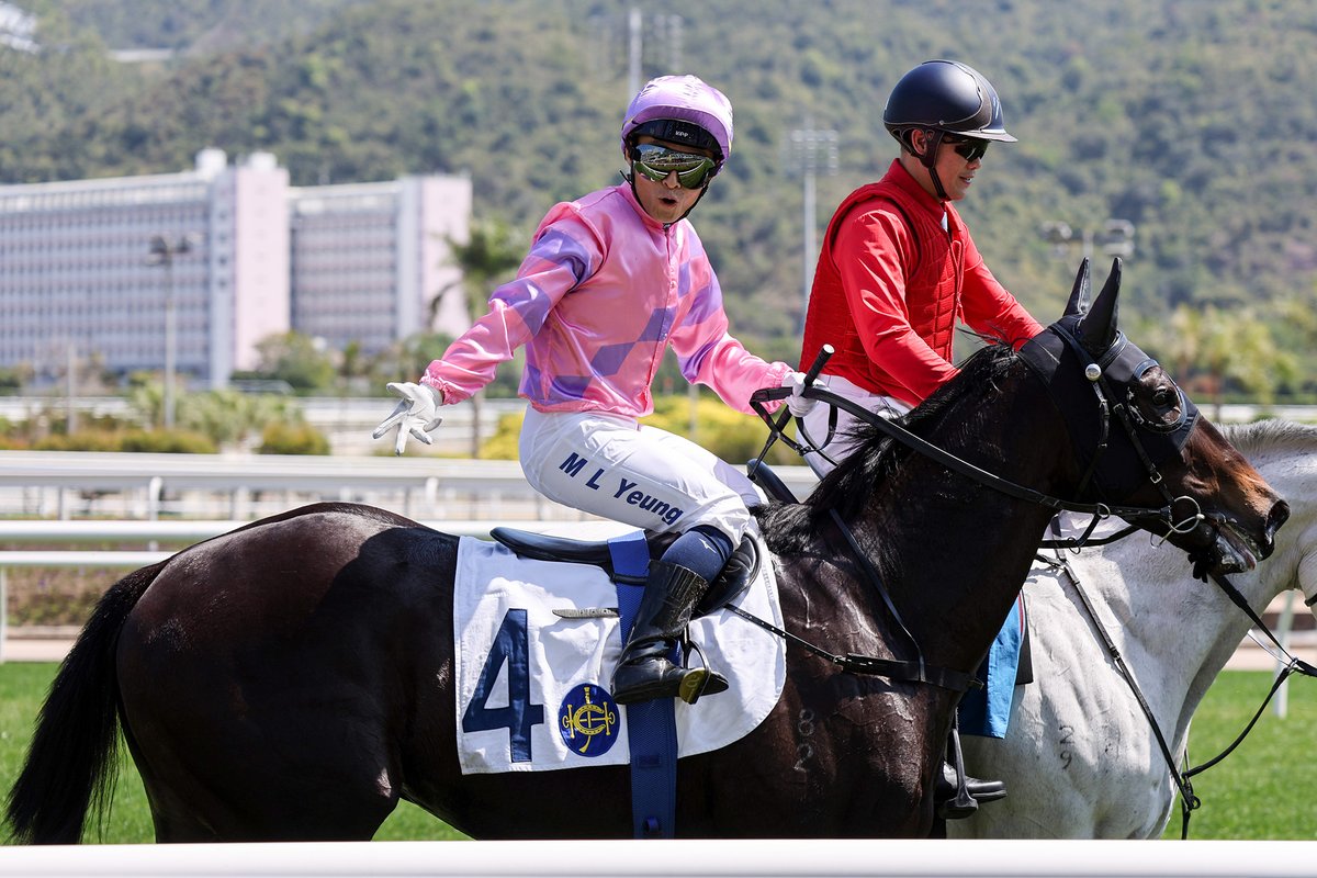HKJC Racing tweet media