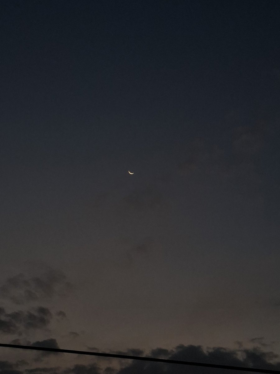 shuuichi ☆ tweet media