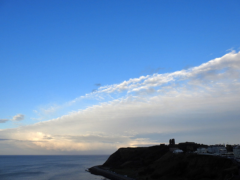 FeelBetter2day tweet media