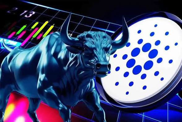 Crocs Club tweet media