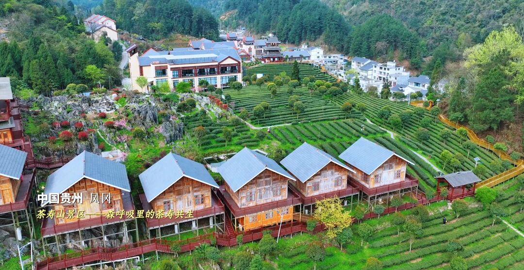 FunZunYi's tweet image. Zunyi's beautiful scenery invites you to embrace nature! #zunyi #chinascenery