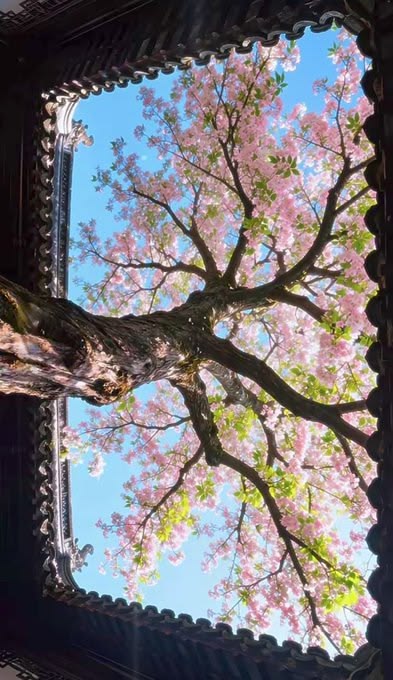 OceanMood tweet media