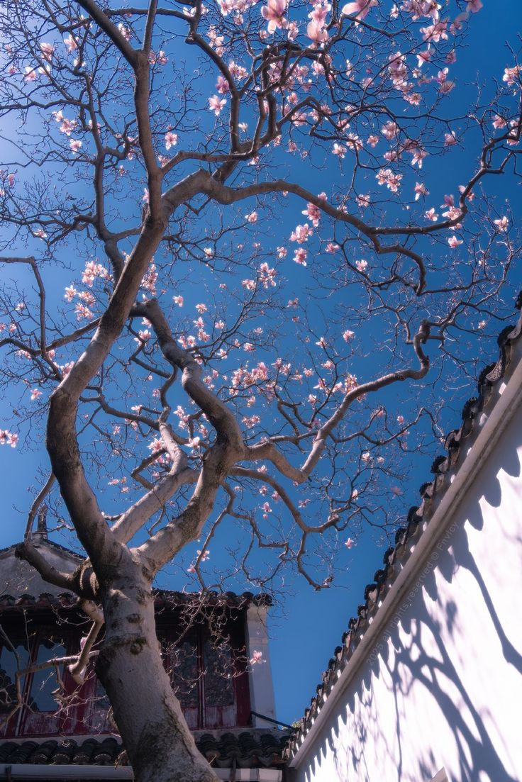 OceanMood tweet media