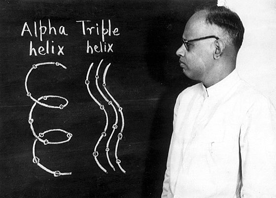 RapperPandit tweet media