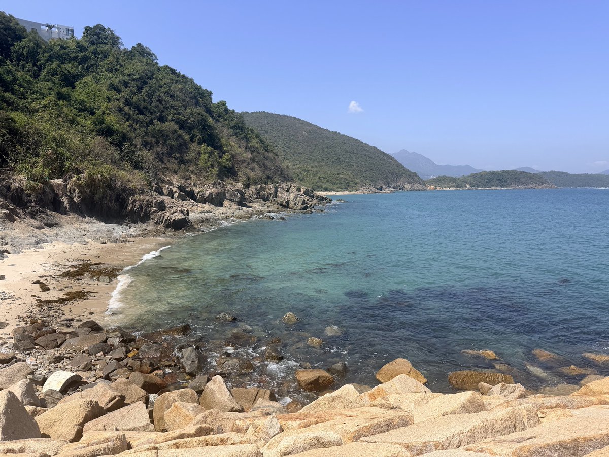 Lil Auntie 🌮 tweet media