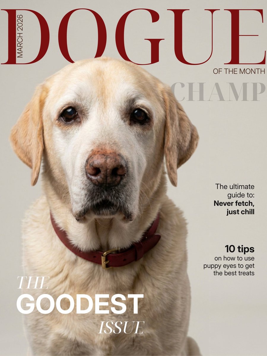 hoomanely's tweet photo. Introducing Hoomanely’s Dogue - March 2026 Edition: Featuring Champ

#hoomanely #dogue #doguemagazine https://t.co/UwUR5L84Gp