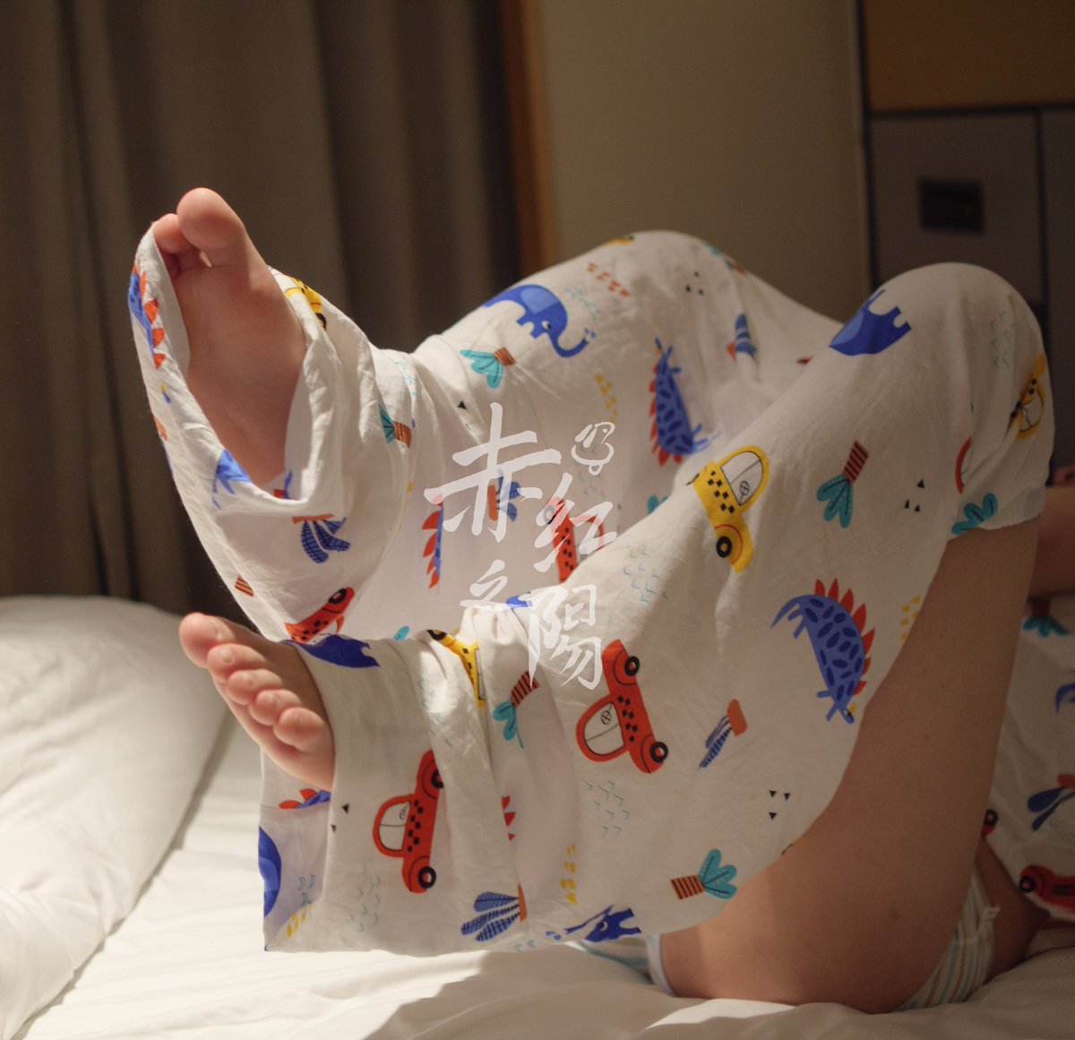 赤红之阳 tweet media