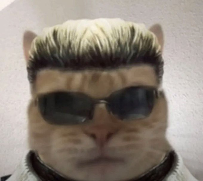 DJ Cat On The Mix tweet media