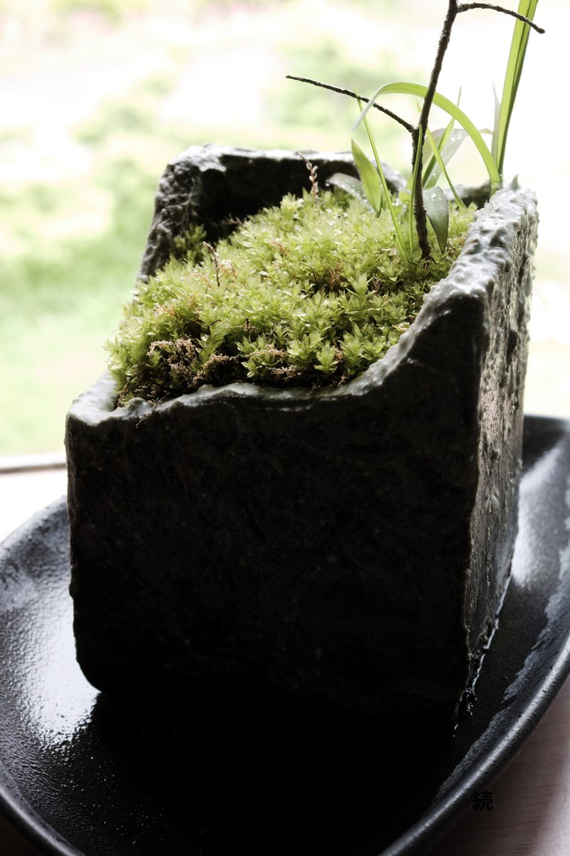 ん続 ［んつづく z tsuzuku 츠즈쿠 ］ tweet media