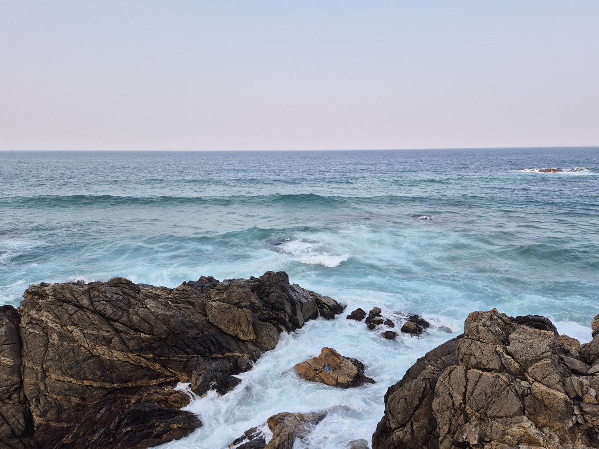 nan 🕊 tweet media