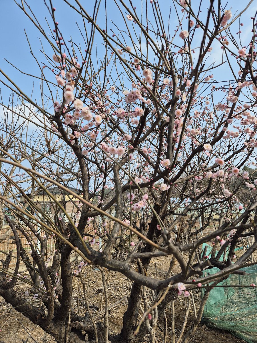 nan 🕊 tweet media