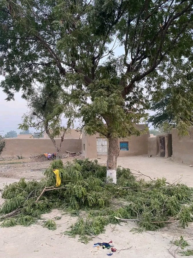 miss Nadia Khan tweet media