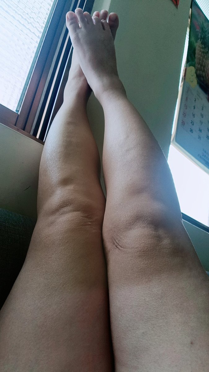 新莊兔兔女王3.0（修養中） tweet media