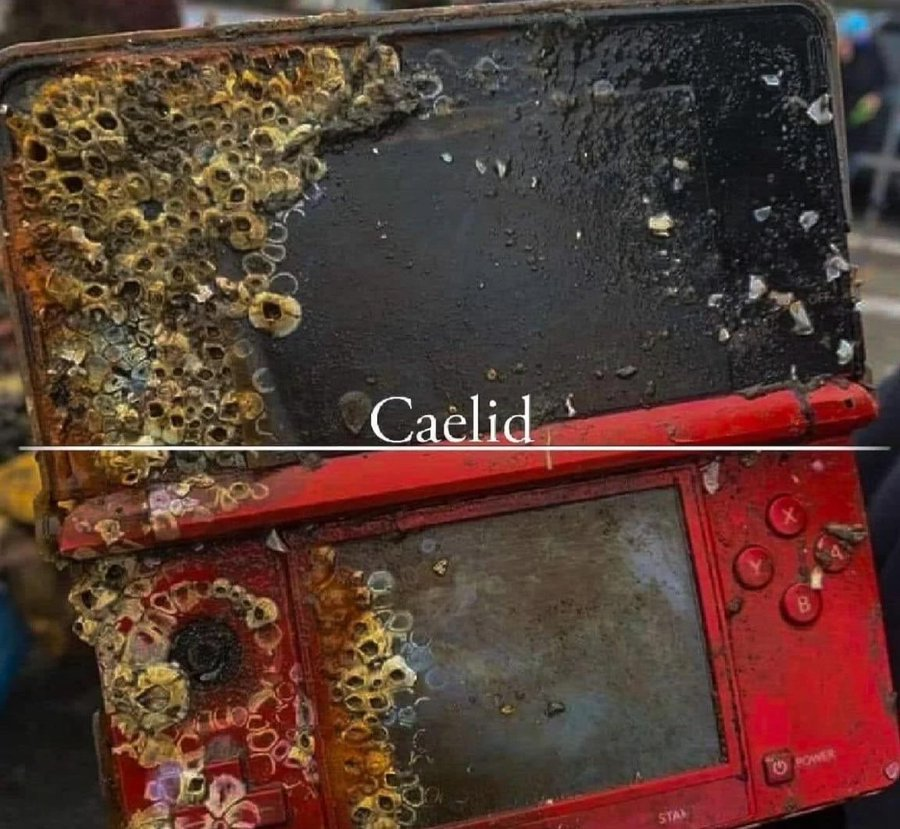 Epic Wallpapers tweet media