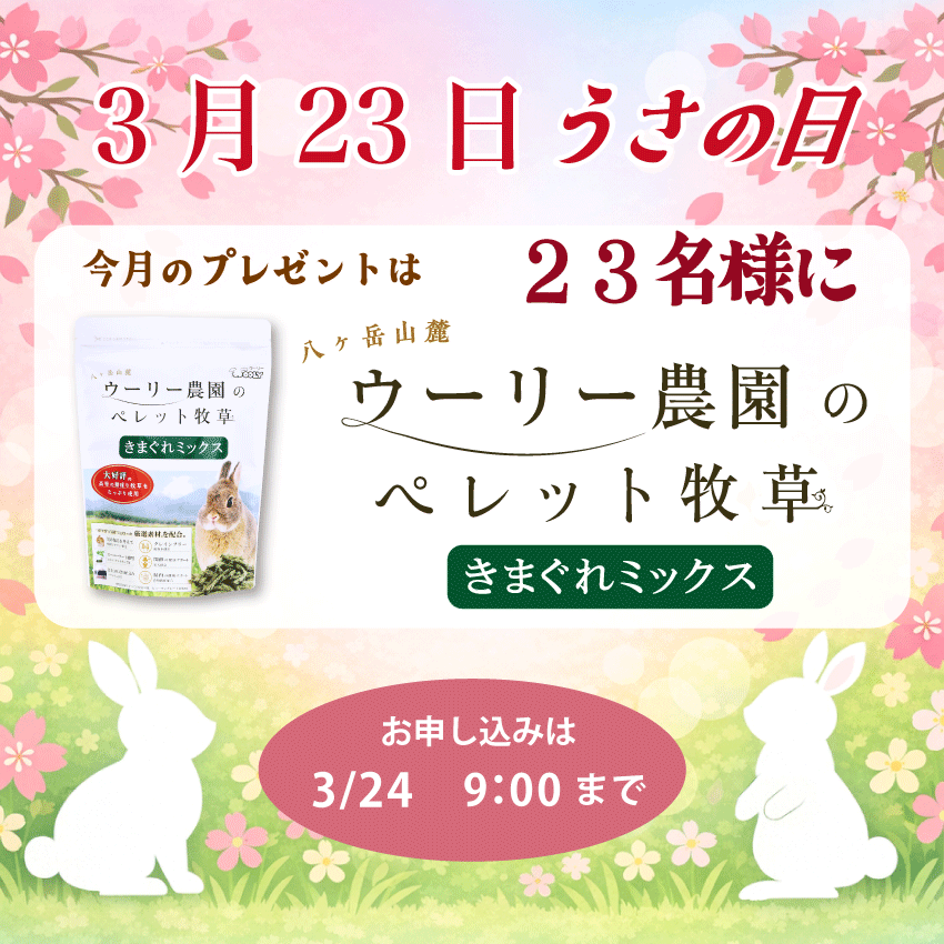 WOOLY（ウーリー） ㅣ うさぎの食彩工房 tweet media