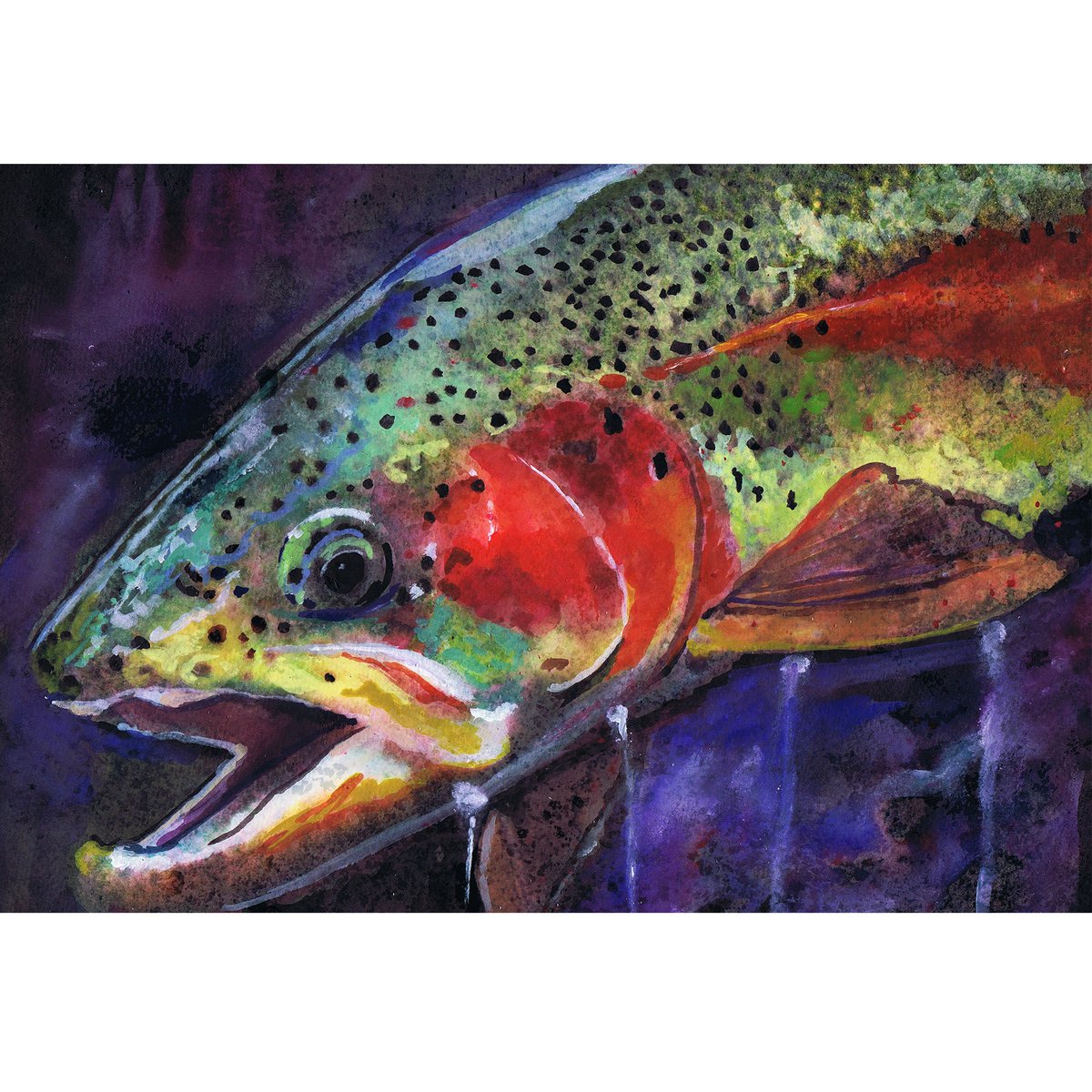 OscarJetson's tweet photo. Rainbow Trout Watercolor Art Print: Abstract Fly Fishing Gift https://t.co/1NbHN23Nb0 #Etsy #decor #DogFishArtCo #art #FishArtwork https://t.co/UOcT6k6Sn1