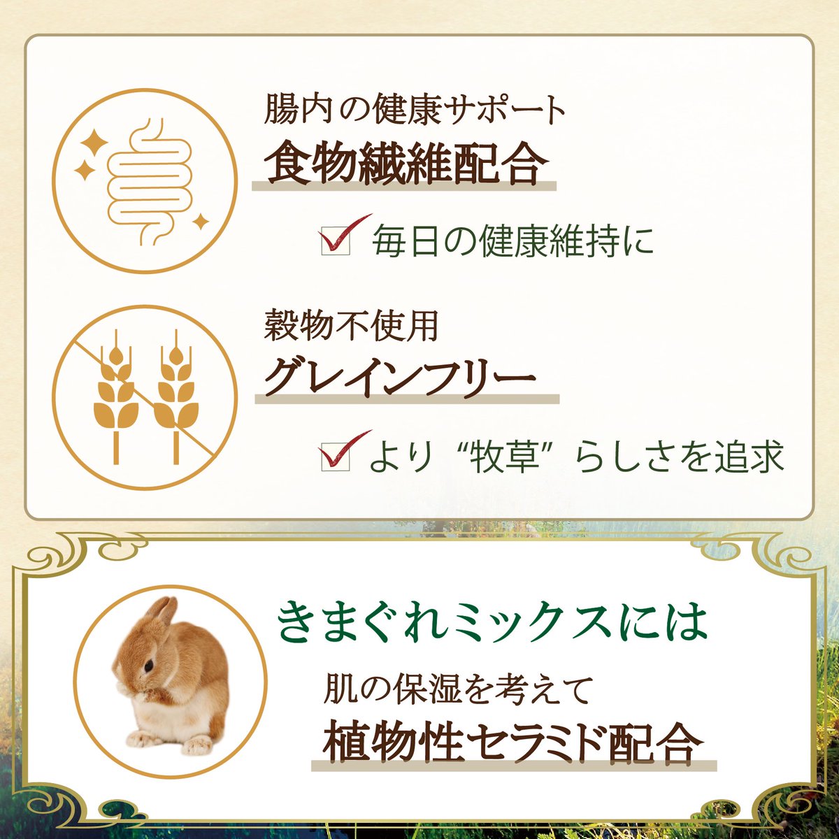 WOOLY（ウーリー） ㅣ うさぎの食彩工房 tweet media