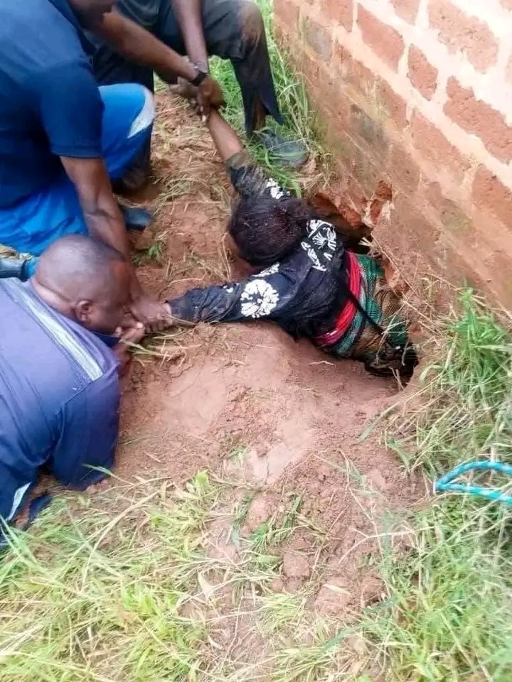 Dandaro Online tweet media