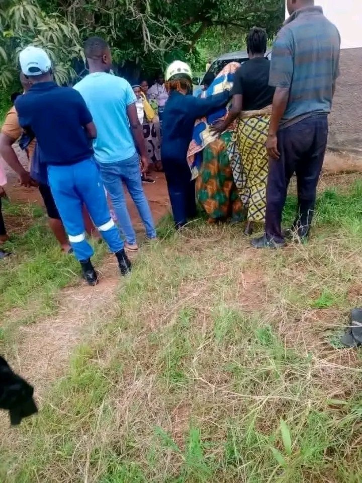 Dandaro Online tweet media