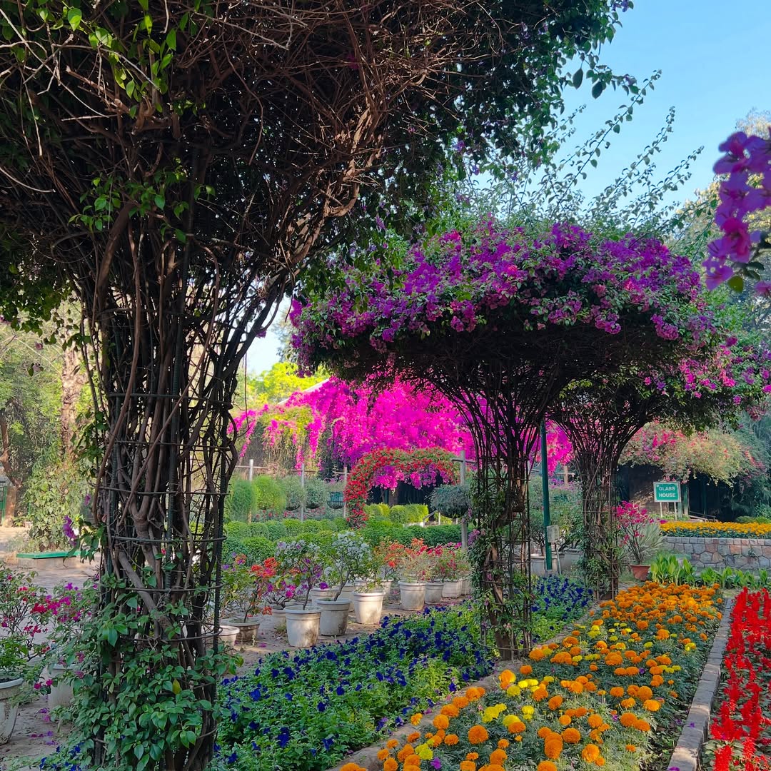 India Aesthetica tweet media