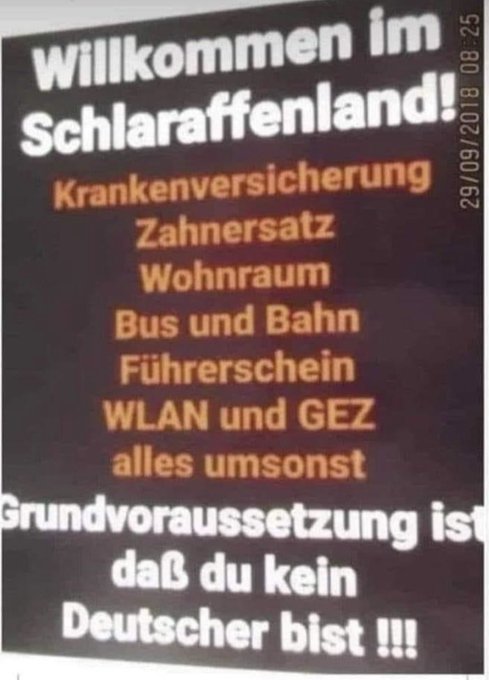 Ralf Rat tweet media