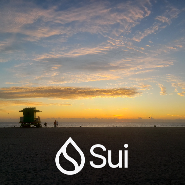 Kasio.sui tweet media