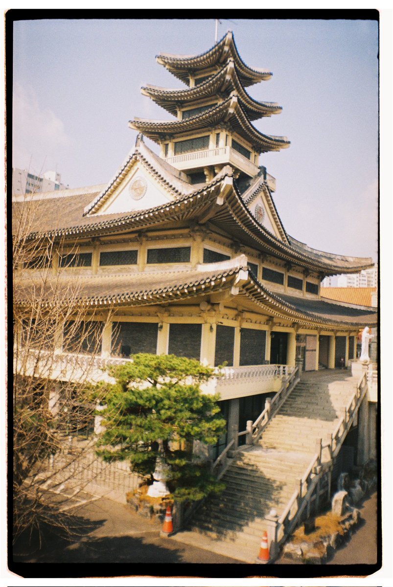 nan 🕊 tweet media