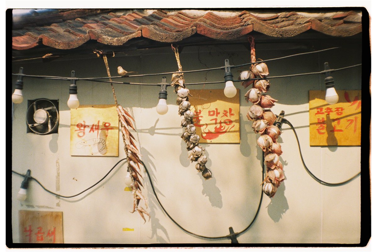 nan 🕊 tweet media