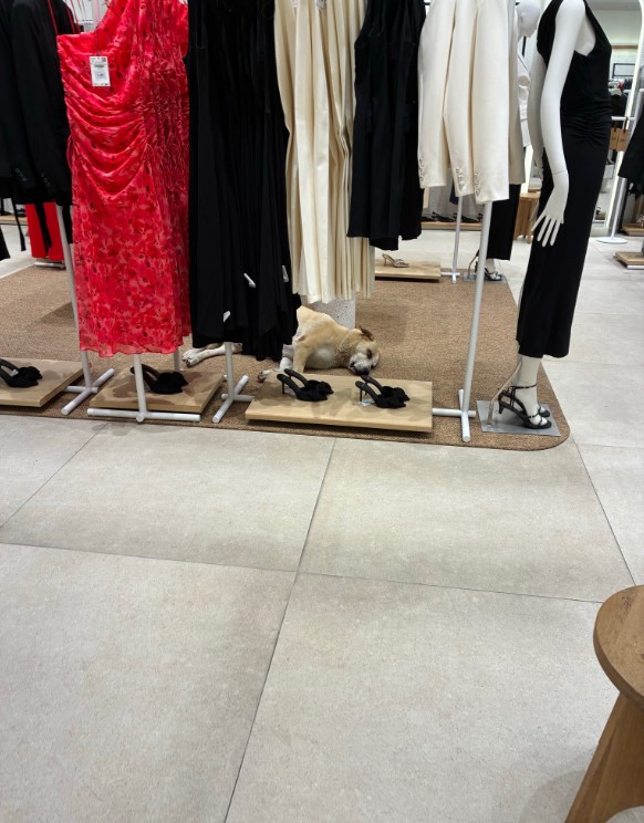 Güvenli Şehirler tweet media