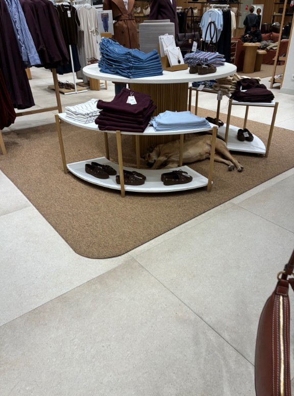 Güvenli Şehirler tweet media