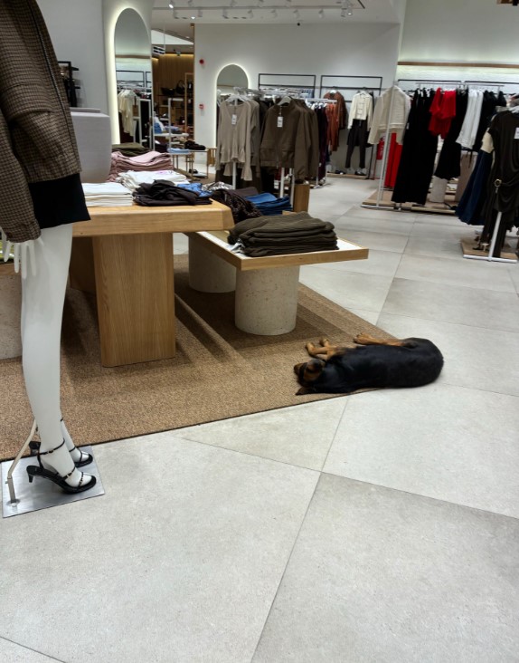 Güvenli Şehirler tweet media