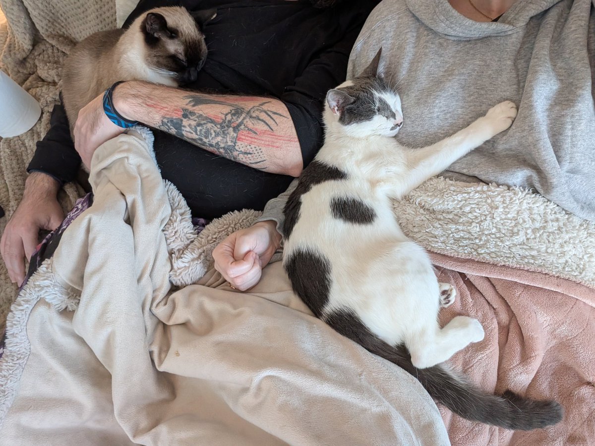 Novaloux Too tweet media