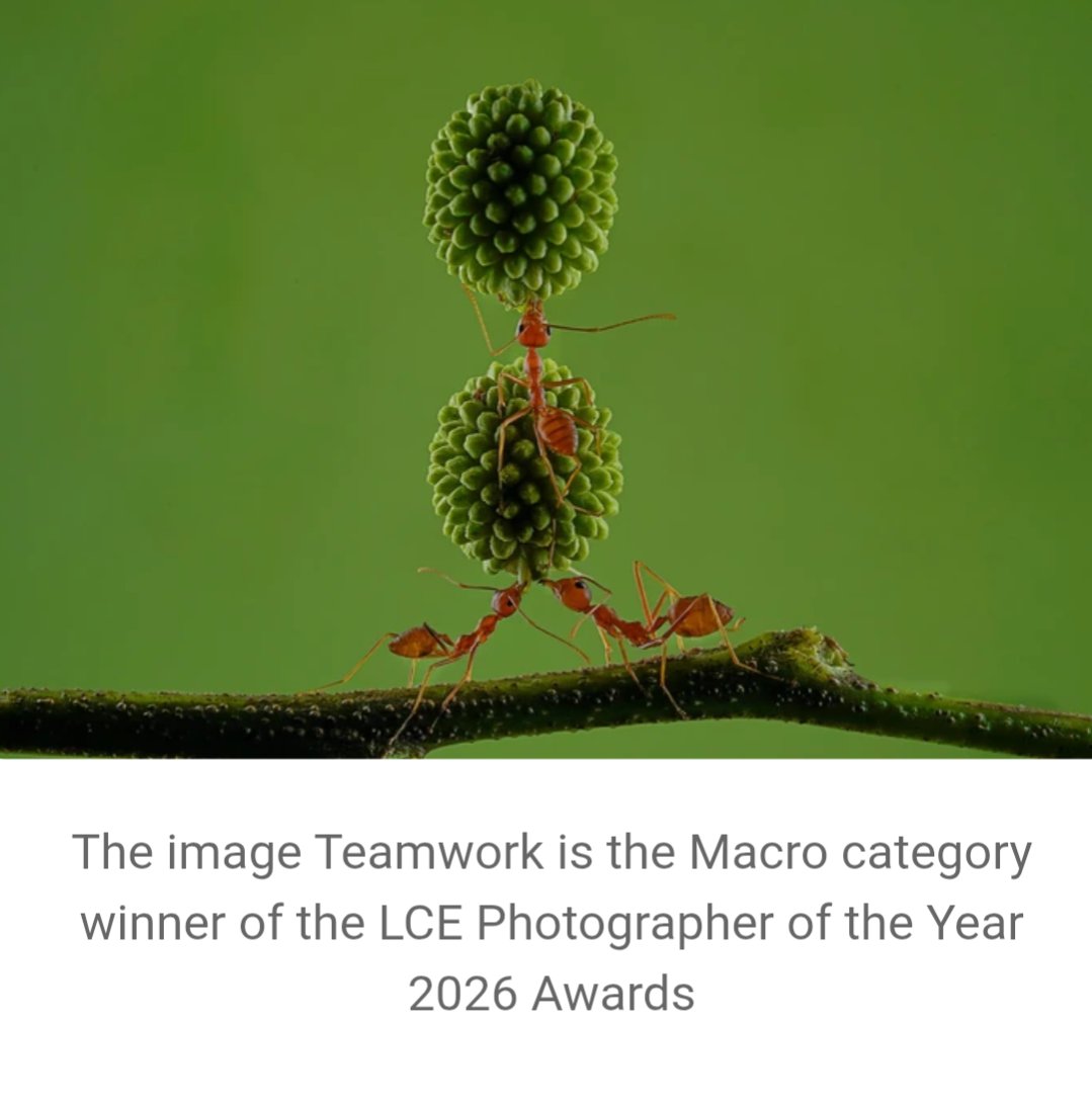 PC ThirtyOne tweet media