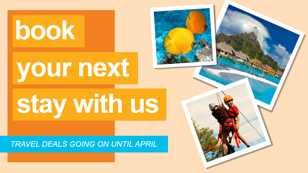 Mango Signs tweet media